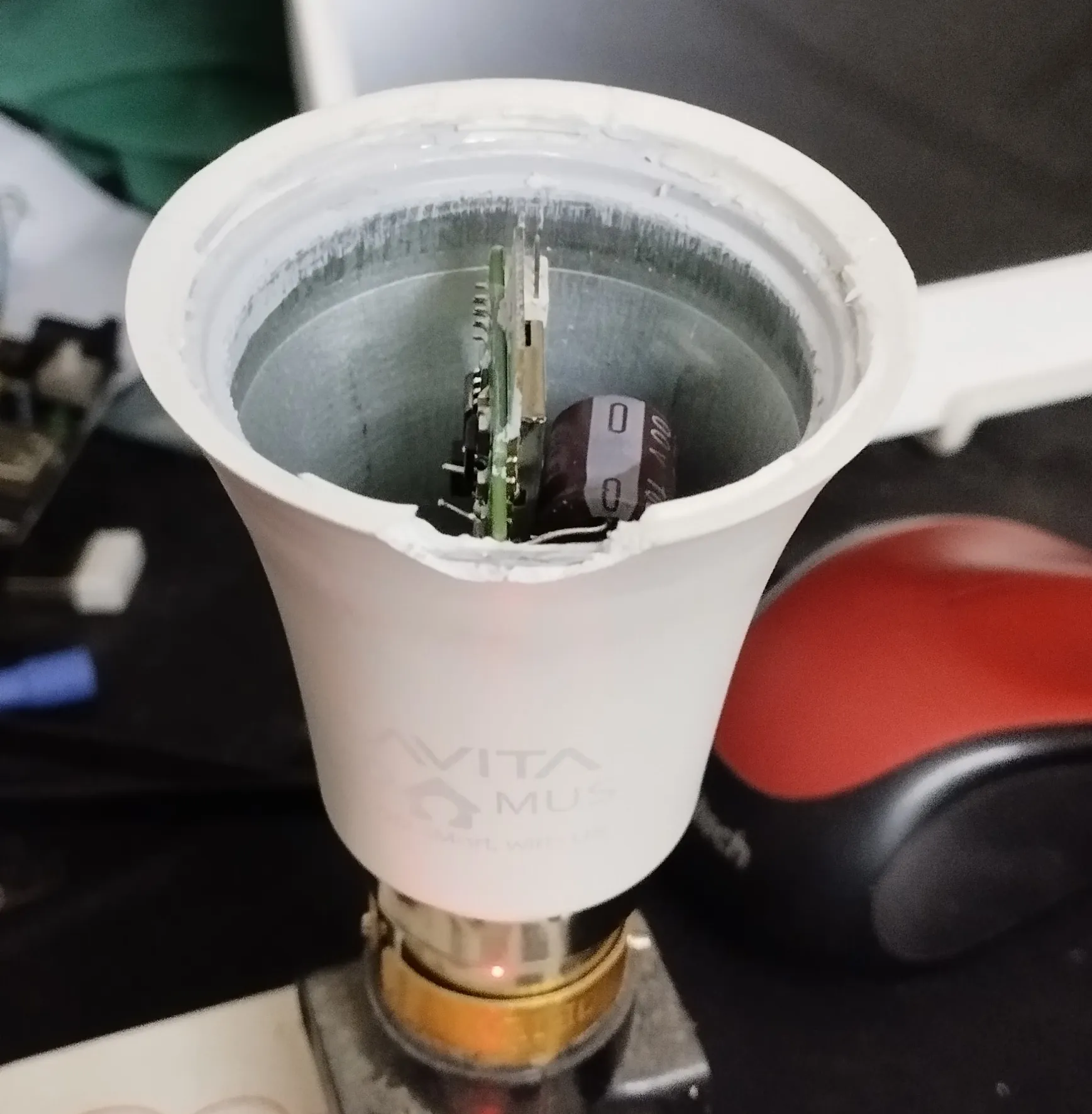 bulb with top part removed bulb with top part removed
